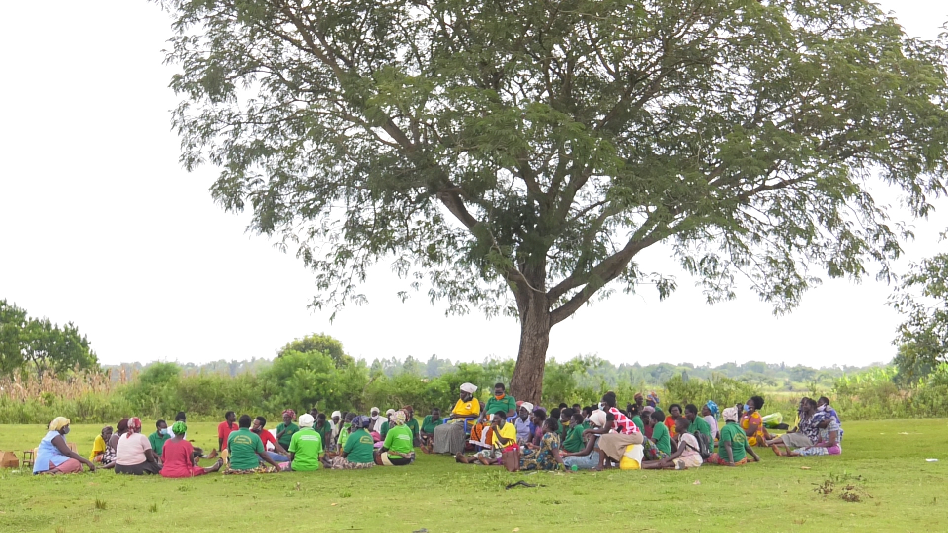 Women's Climate Centers International, led by a partnership of women development professionals in Uganda, Kenya, South Africa and the United States