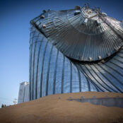 A grain bin full of corn after the destruction of a derecho in 2020. Photo: Phil Roeder / Flickr.