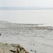 A man in coastal Bangladesh looks out over the sea which once was the land people in his village used to live on. Sea level rise related erosion is a common struggle for people in low-lying coastal areas of Bangladesh that pushes them to move, adapt and manage around. Credit: Sonja Ayeb-Karlsson