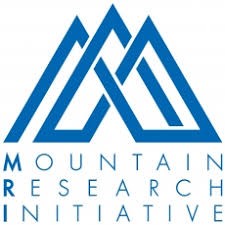 MRI logo: 3 blue entangled triangles looking like mountains