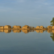 A body of water with brown settlements and a green tree reflected
