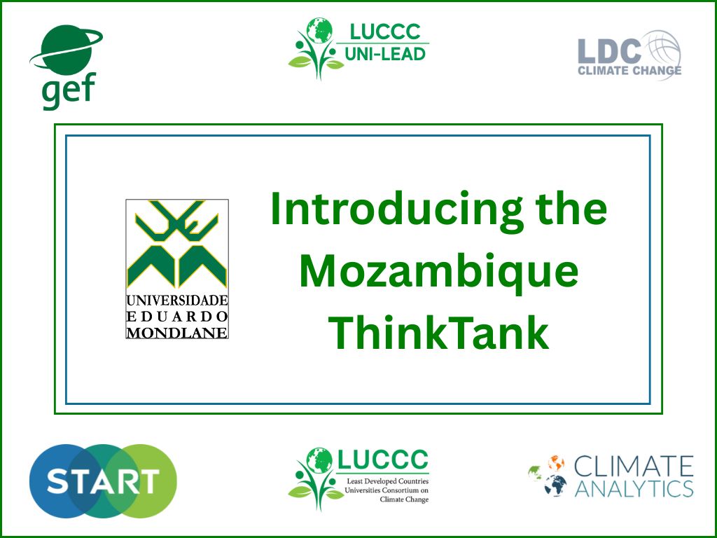 Introducing the Mozambique Think-tank