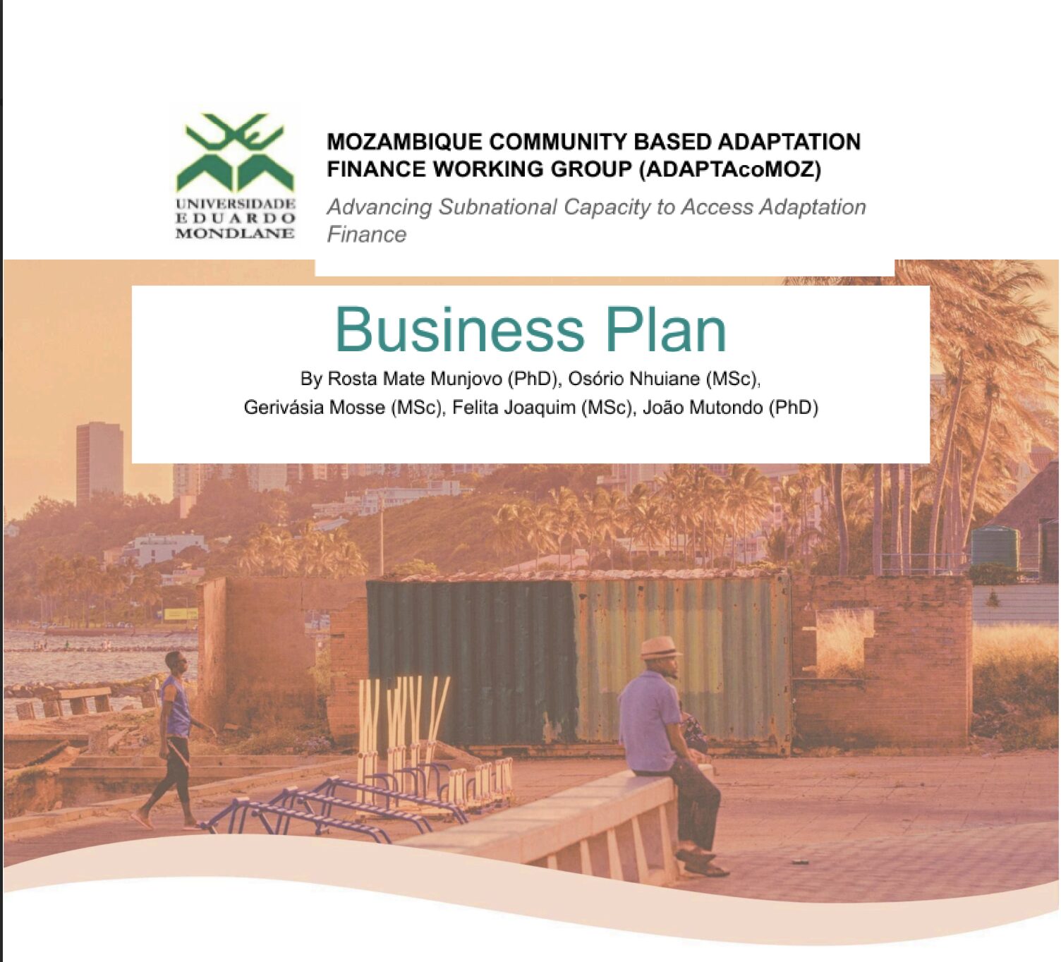 Mozambique Business Plan- English