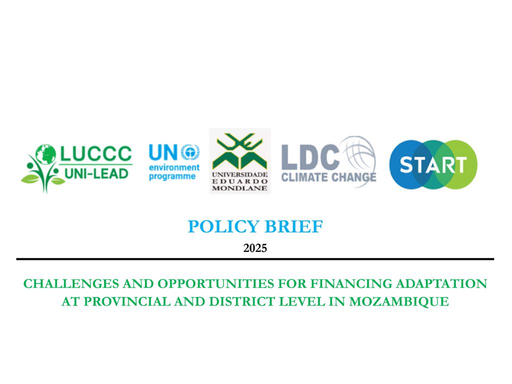 Mozambique Policy Brief- Challenges & Opportunities